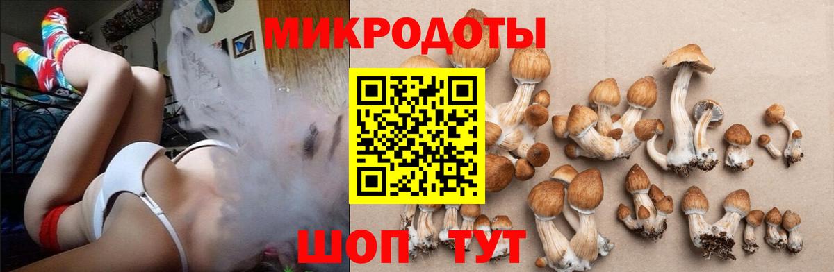 Пермь  Псилоцибиновые грибы Psilocybe  Псилоцибиновые грибы MAGIC MUSHROOMS  Вход с VPN 